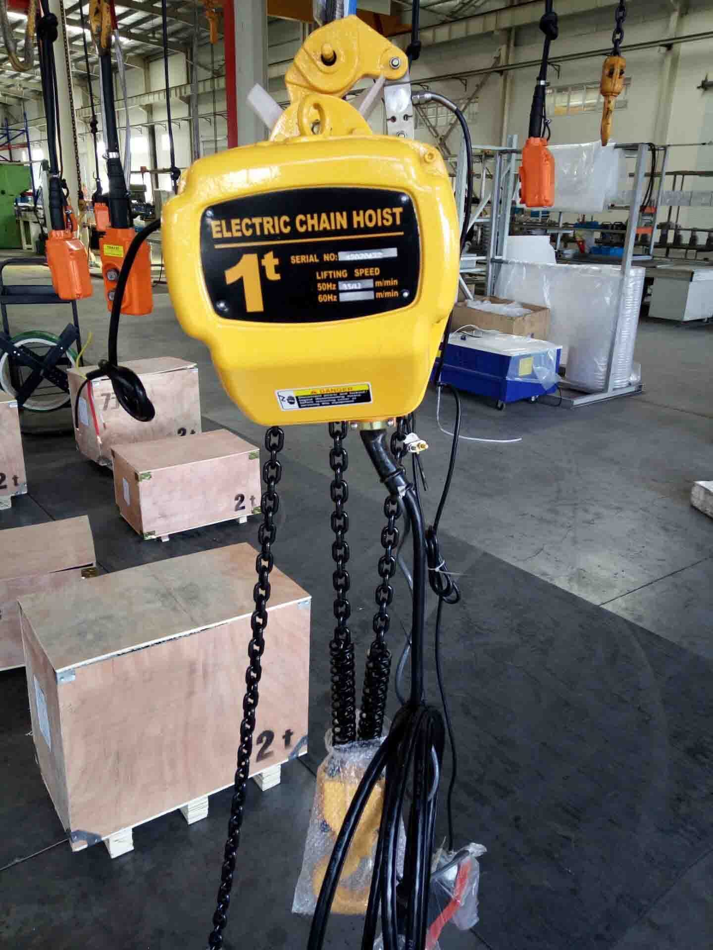 Electric chain hoist